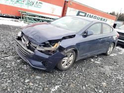 Hyundai Elantra salvage cars for sale: 2019 Hyundai Elantra SEL