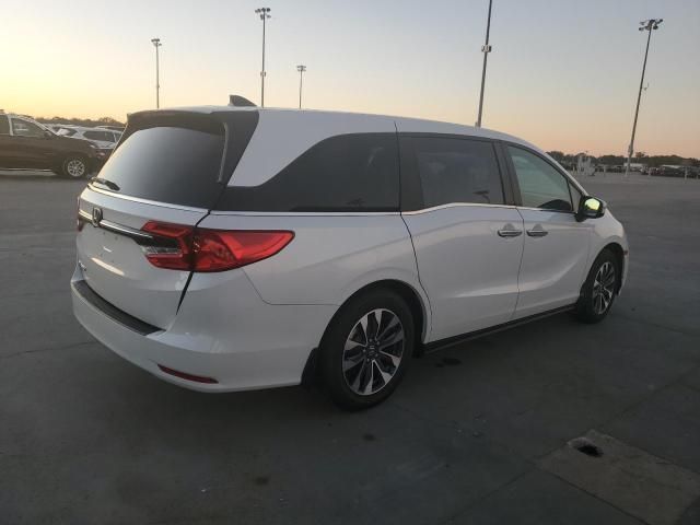 2024 Honda Odyssey EXL