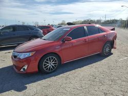 Toyota Camry salvage cars for sale: 2012 Toyota Camry Hybrid