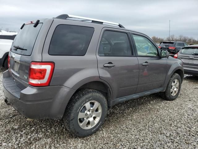 2011 Ford Escape Limited