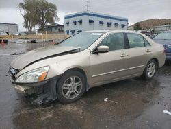 Salvage cars for sale from Copart Albuquerque, NM: 2006 Honda Accord EX