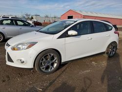 Ford salvage cars for sale: 2014 Ford Focus SE