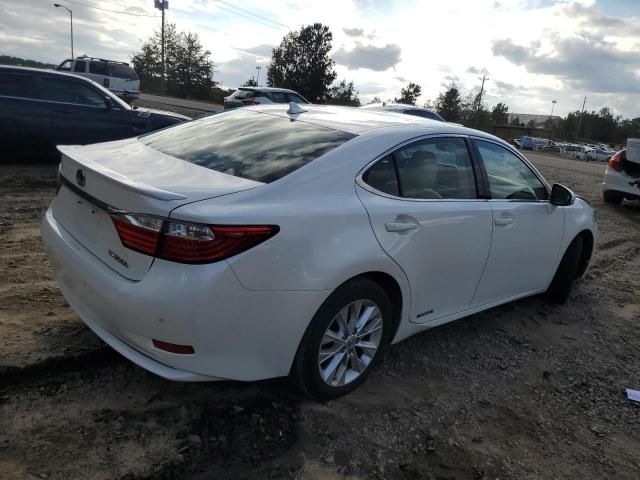 2013 Lexus ES 300H