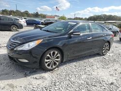 Hyundai Sonata salvage cars for sale: 2013 Hyundai Sonata SE