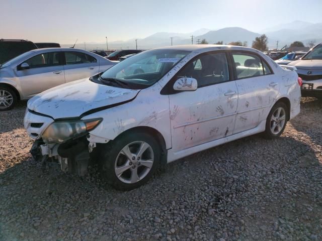 2011 Toyota Corolla Base