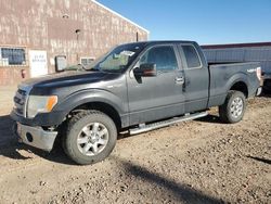 Ford f150 Super cab salvage cars for sale: 2014 Ford F150 Super Cab