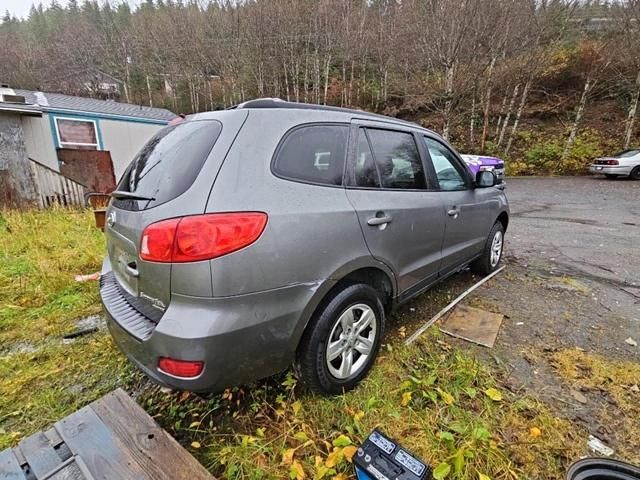 2009 Hyundai Santa FE GLS