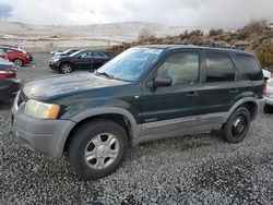 Ford Escape salvage cars for sale: 2002 Ford Escape XLT