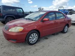 Toyota Corolla salvage cars for sale: 2003 Toyota Corolla CE