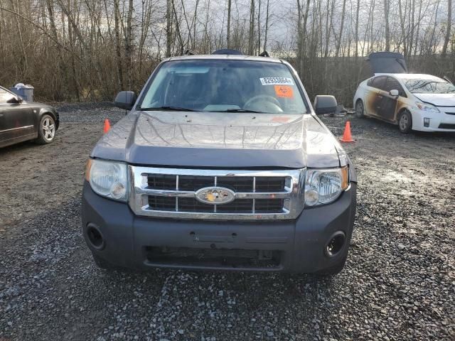 2008 Ford Escape XLT