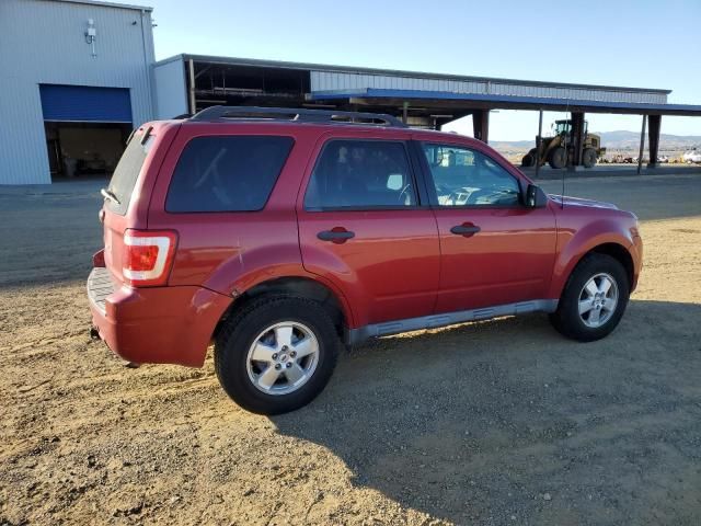 2009 Ford Escape XLT