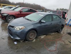 Toyota Corolla salvage cars for sale: 2014 Toyota Corolla L