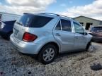 2007 Mercedes-Benz ML 350