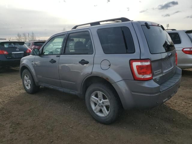 2008 Ford Escape HEV