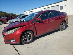 Ford Focus salvage cars for sale: 2016 Ford Focus SE