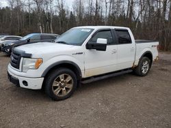 Ford f-150 salvage cars for sale: 2010 Ford F150 Supercrew