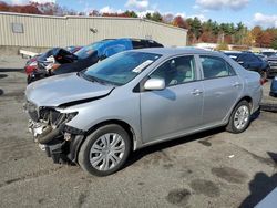 Toyota Corolla salvage cars for sale: 2010 Toyota Corolla Base