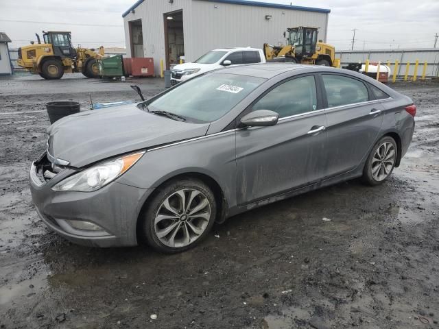 2013 Hyundai Sonata SE