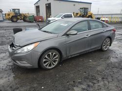 Hyundai Sonata salvage cars for sale: 2013 Hyundai Sonata SE