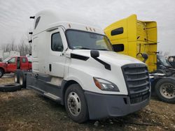 Freightliner Cascadia 126 salvage cars for sale: 2021 Freightliner Cascadia 126