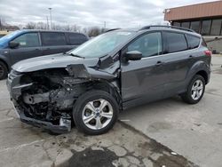 Ford Escape salvage cars for sale: 2016 Ford Escape SE