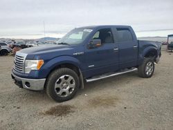 Ford f-150 salvage cars for sale: 2012 Ford F150 Supercrew