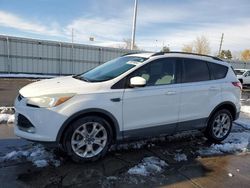 Ford Escape salvage cars for sale: 2014 Ford Escape SE