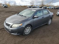 Toyota Corolla salvage cars for sale: 2010 Toyota Corolla Base