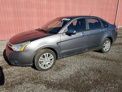 Ford salvage cars for sale: 2011 Ford Focus SEL