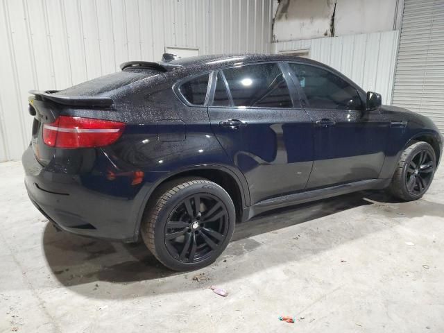 2010 BMW X6 M