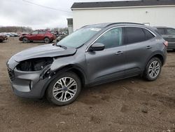 Ford Escape sel salvage cars for sale: 2021 Ford Escape SEL