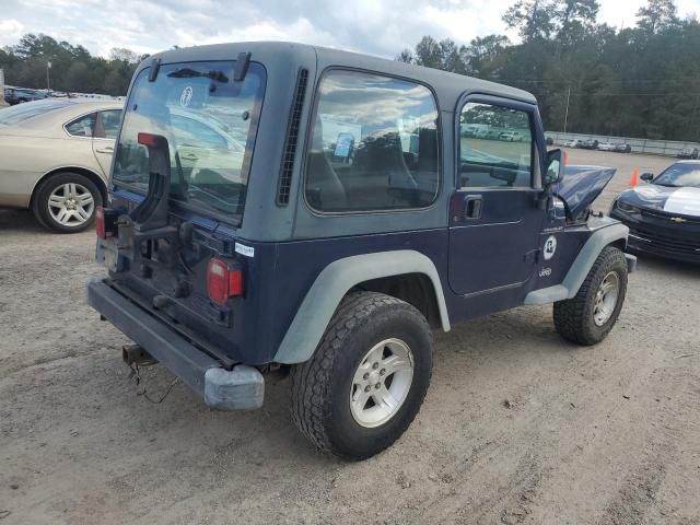 2002 Jeep Wrangler / TJ X