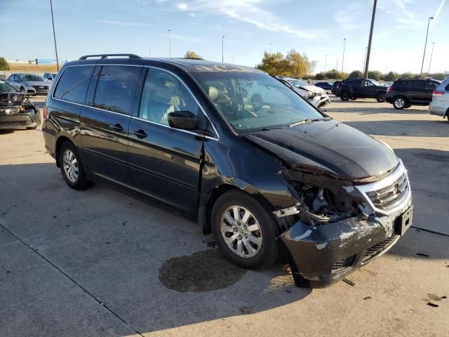 2010 Honda Odyssey EXL