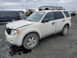 Ford salvage cars for sale: 2009 Ford Escape XLT