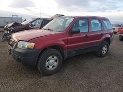 Ford Escape salvage cars for sale: 2005 Ford Escape XLS