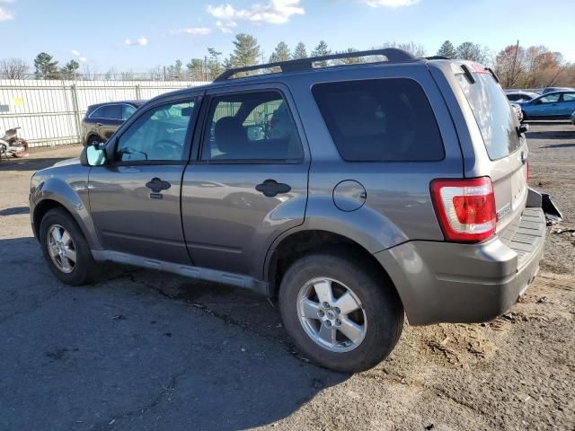 2010 Ford Escape XLT