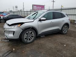 Ford Escape sel salvage cars for sale: 2020 Ford Escape SEL