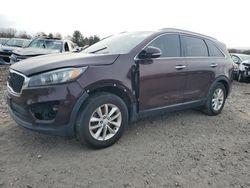 KIA Sorento salvage cars for sale: 2016 KIA Sorento LX