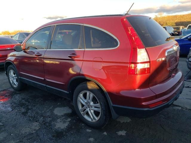 2010 Honda CR-V EXL