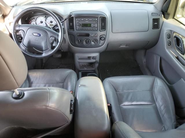 2002 Ford Escape XLT