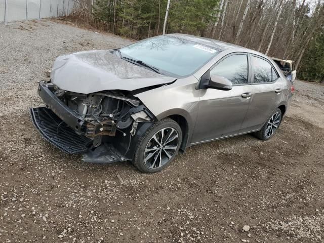 2019 Toyota Corolla L