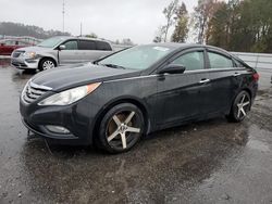 Hyundai Sonata salvage cars for sale: 2013 Hyundai Sonata SE