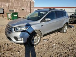 Ford Escape salvage cars for sale: 2017 Ford Escape SE