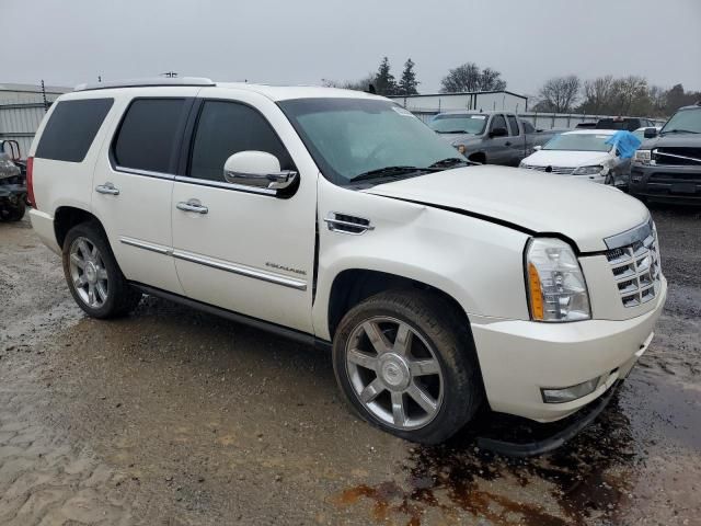 2011 Cadillac Escalade Premium