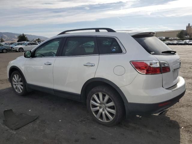 2010 Mazda CX-9