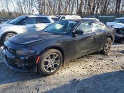 Dodge Charger salvage cars for sale: 2016 Dodge Charger SXT