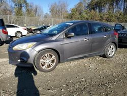 Ford Focus salvage cars for sale: 2013 Ford Focus SE