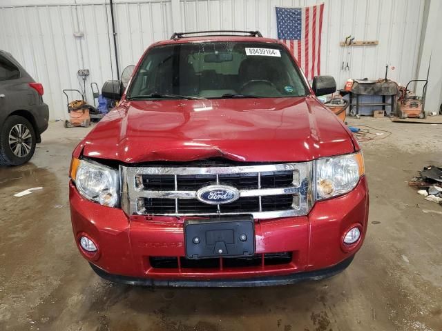 2012 Ford Escape XLT