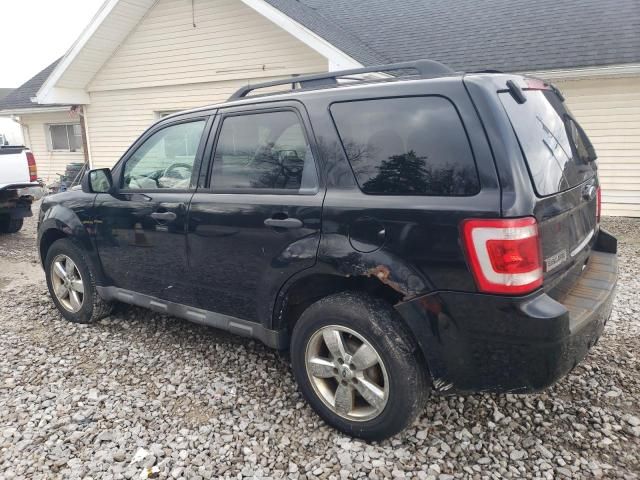 2012 Ford Escape XLT