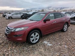 Honda Accord salvage cars for sale: 2010 Honda Accord Crosstour EXL